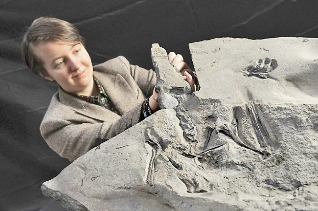 World's biggest Jurassic-era pterodactyl discovered on Isle of Skye