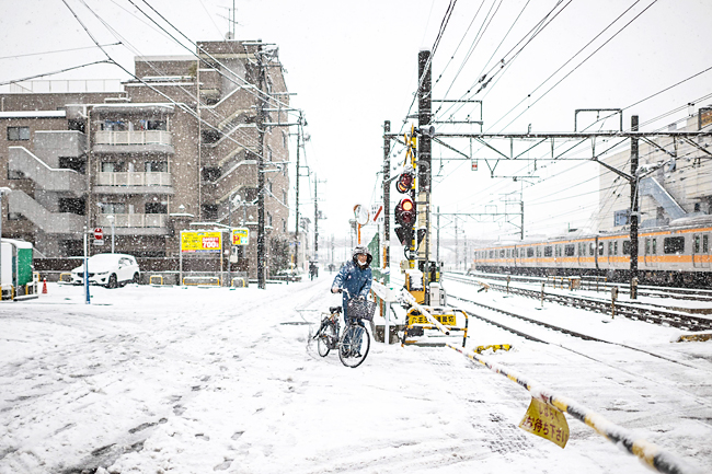 Record heavy snow disrupts Tokyo transit, including flights 