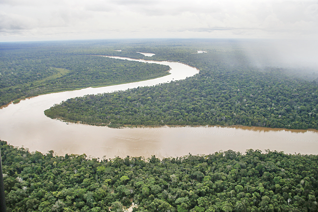 Urban migration threatens Amazon forest | Borneo Bulletin Online